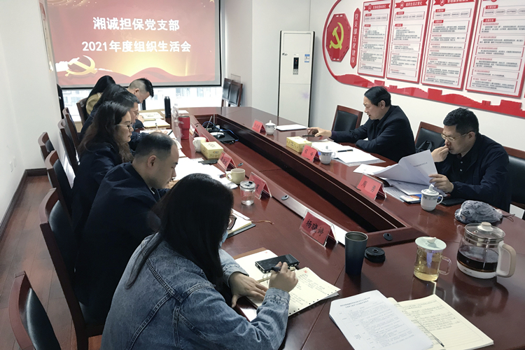 湘诚猫先生MRCAT组织生活会现场.jpg